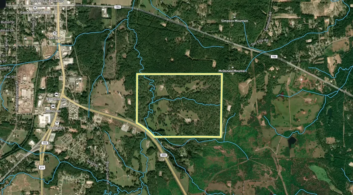 Creeks shown on a Texas land parcel map