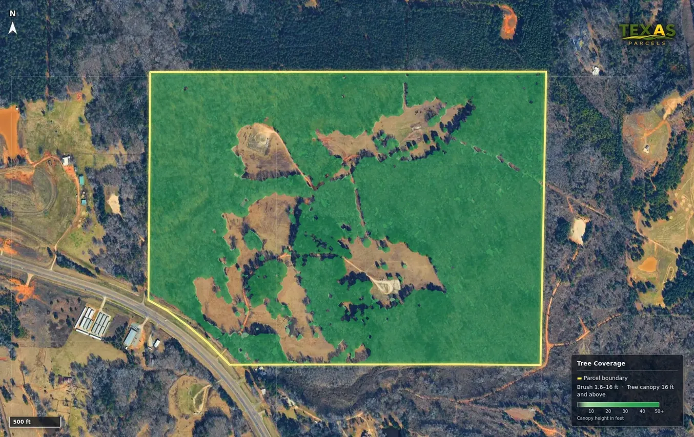 Vegetation shown on a Texas land parcel map